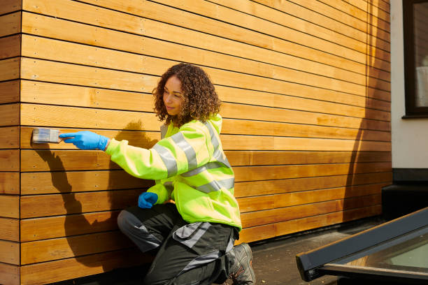 Best Siding Painting and Refinishing  in Wilton, CA